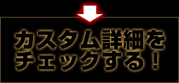 カスタム詳細をチェックする