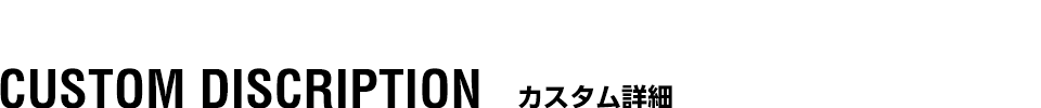 カスタム詳細